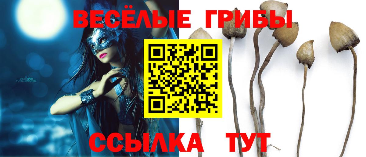 Галлюциногенные грибы Magic Shrooms  закладка  Майский  Вход с VPN 
